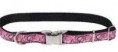 COLLAR + CORREA RIBBON de PET ATTIRE. SMALL 20-30CMS